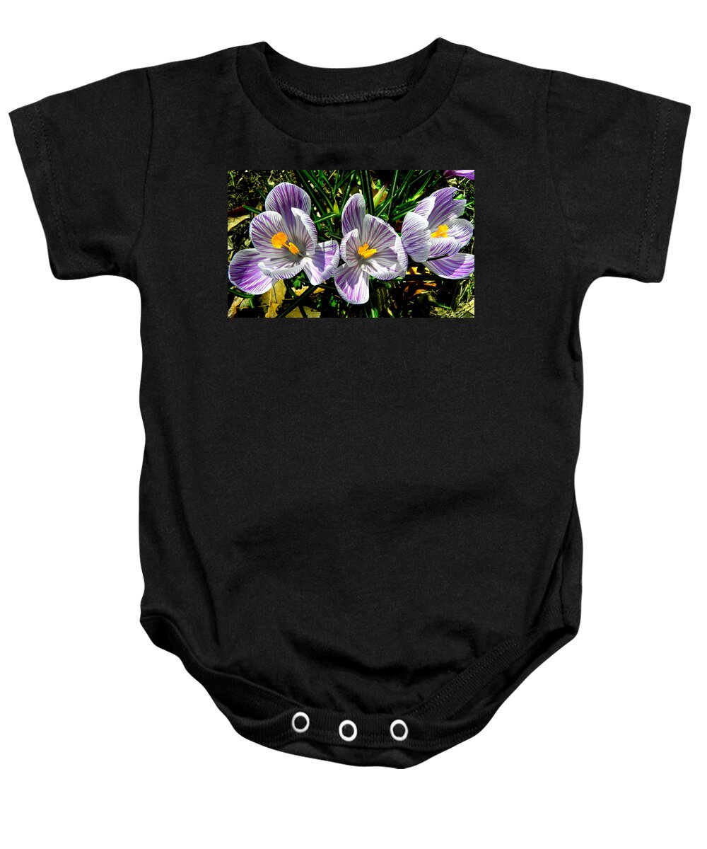 Purple Baby Onesie featuring the photograph Triplets In Stripes by Kim Galluzzo