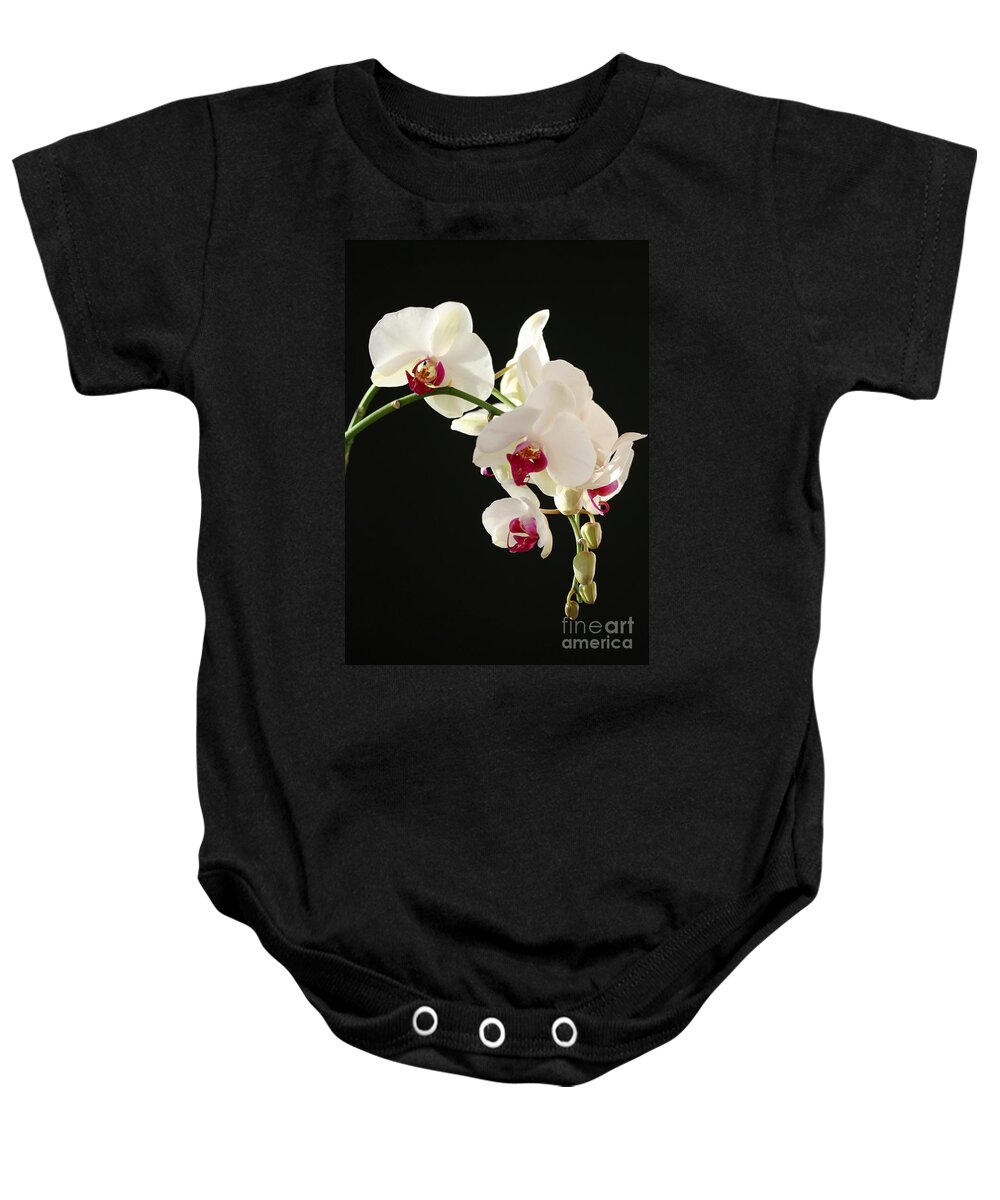 Orchid Baby Onesie featuring the photograph White Orchids by Sabrina L Ryan