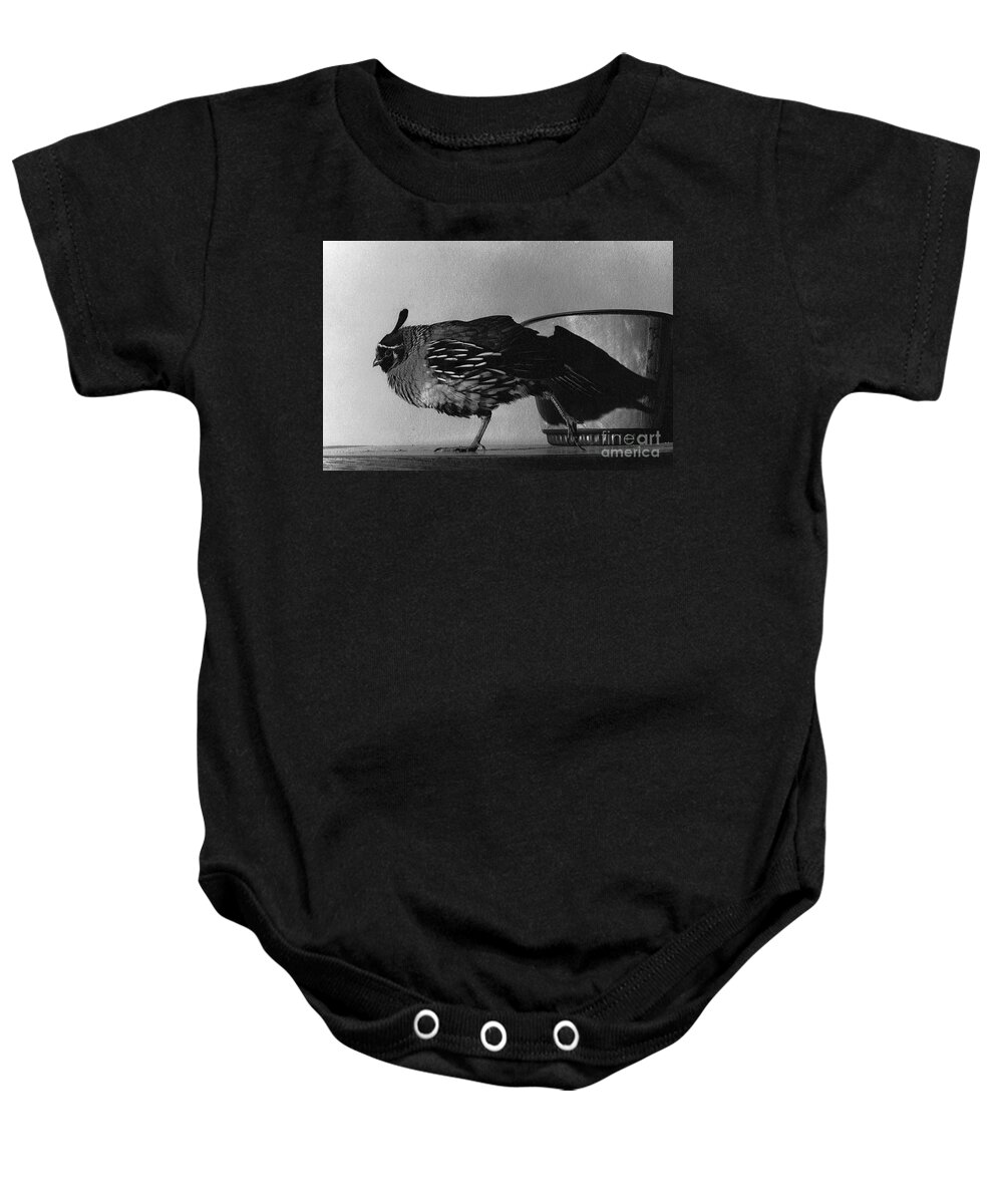 Nature Baby Onesie featuring the photograph 05_Rob and Mike by Christopher Plummer