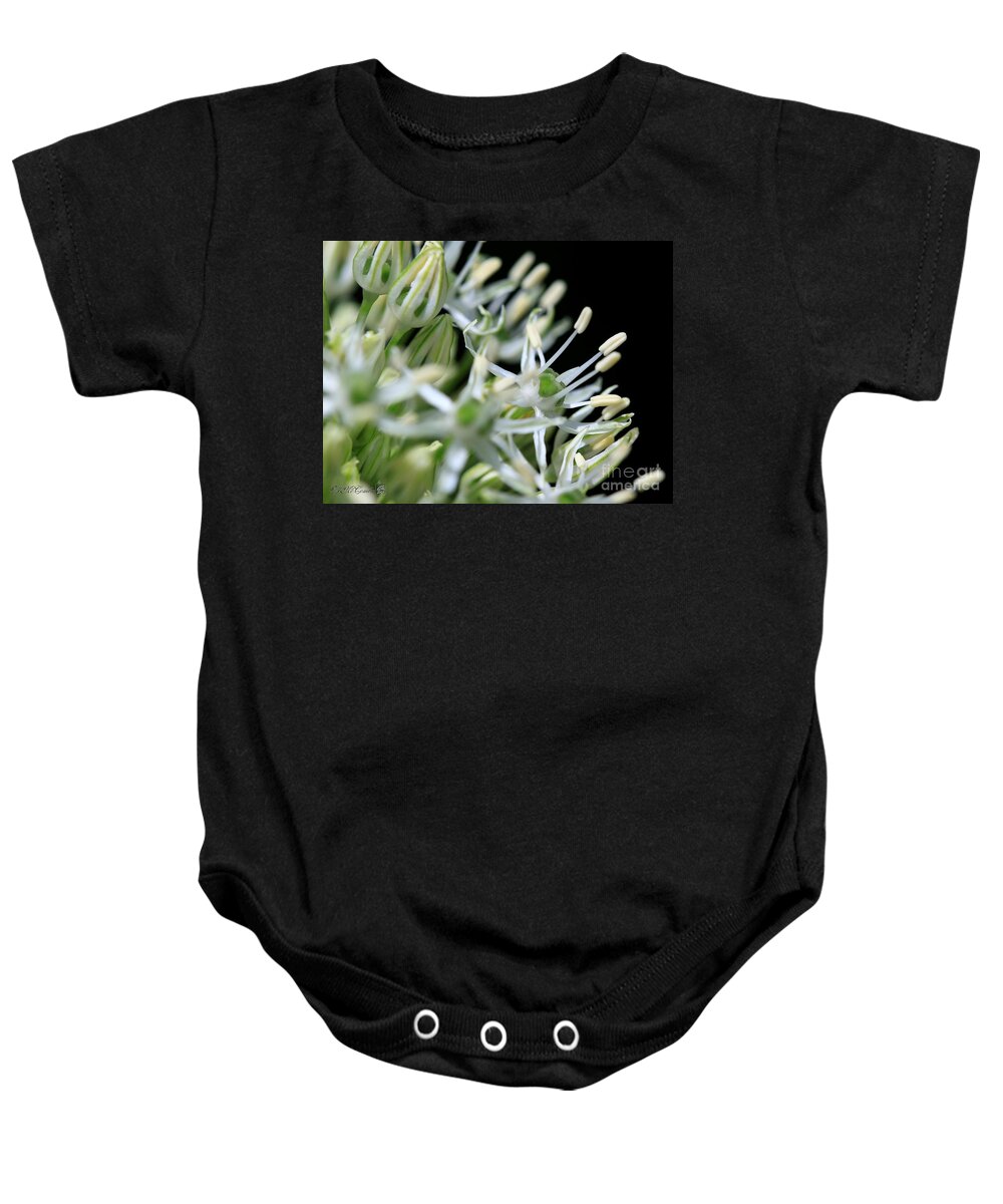 Mccombie Baby Onesie featuring the photograph Allium named Mount Everest #4 by J McCombie