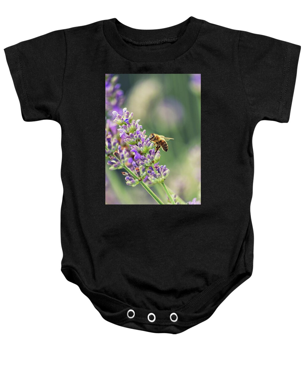Bee Baby Onesie featuring the photograph Bee on lavender #1 by Giordano Aita