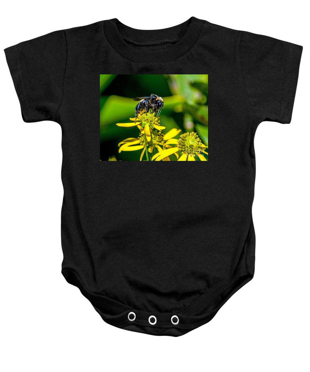 Petals Baby Onesie featuring the photograph Bee on Yellow Flower by Stephen Whalen