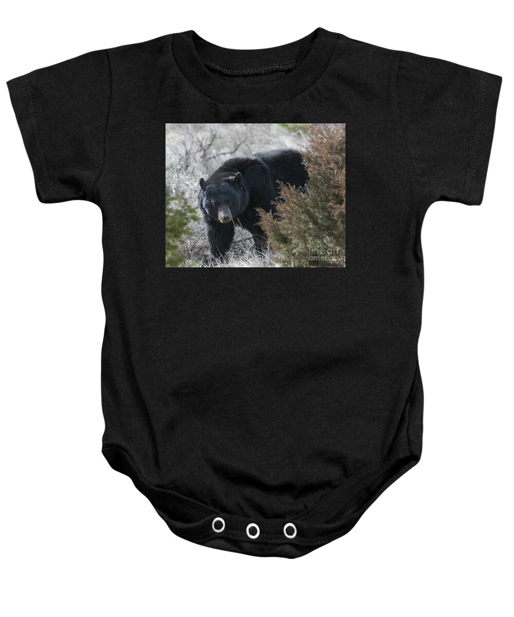 Black Bear Baby Onesie featuring the photograph Black Bear #1 by Gary Beeler