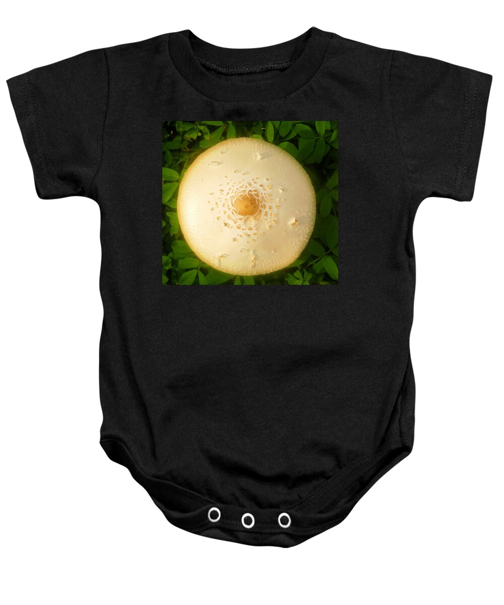 Circle Of Life Baby Onesie featuring the photograph Circle of life #1 by David Lee Thompson