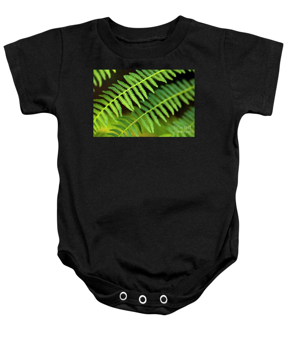 Forest Setting Baby Onesie featuring the photograph Close-up of Ferns #1 by Jim Corwin