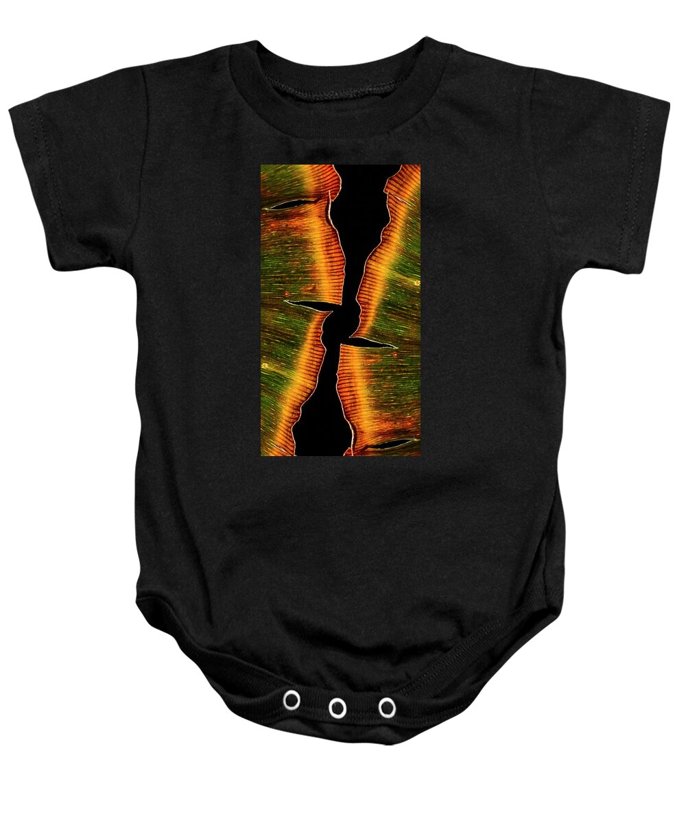 Ginkgo Leaves Baby Onesie featuring the photograph Faded Glory #1 by Garry McMichael