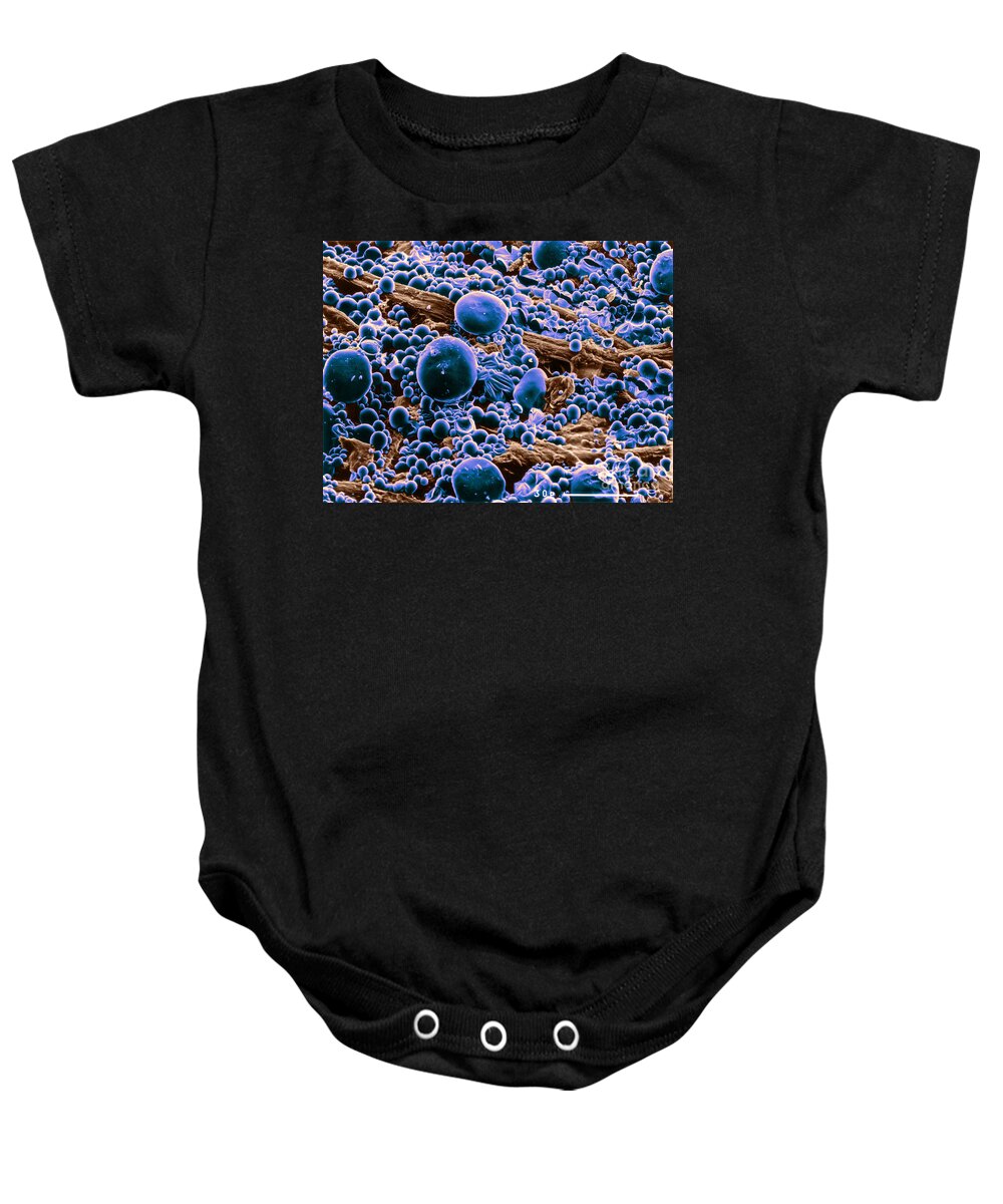 Science Baby Onesie featuring the photograph Ink Droplets On Transfer Paper Sem #2 by Biophoto Associates