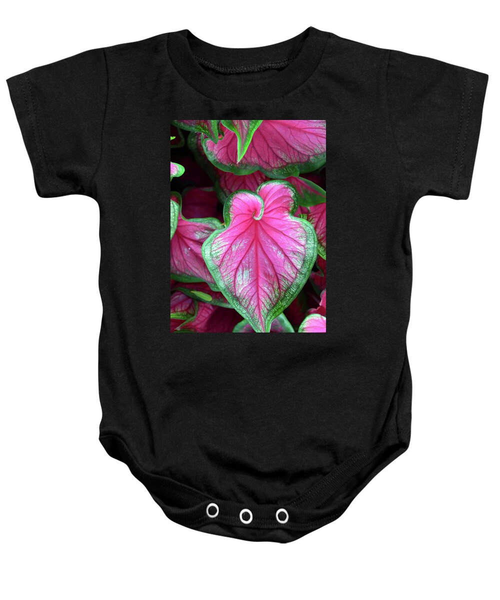Plant Baby Onesie featuring the photograph Plant beauty #1 by David Lee Thompson
