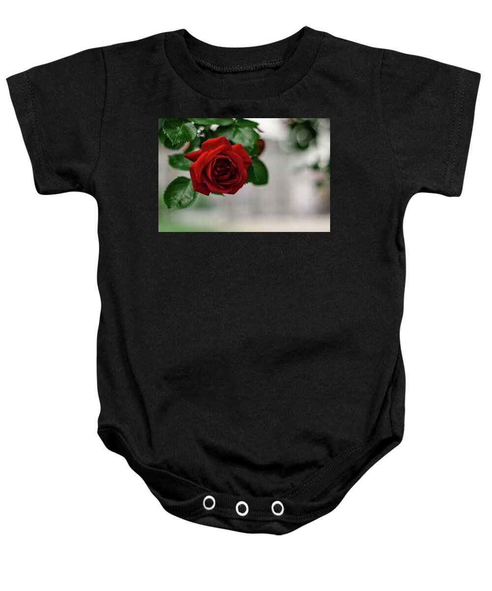 Winterpacht Baby Onesie featuring the photograph Roses in the City Park #1 by Miguel Winterpacht