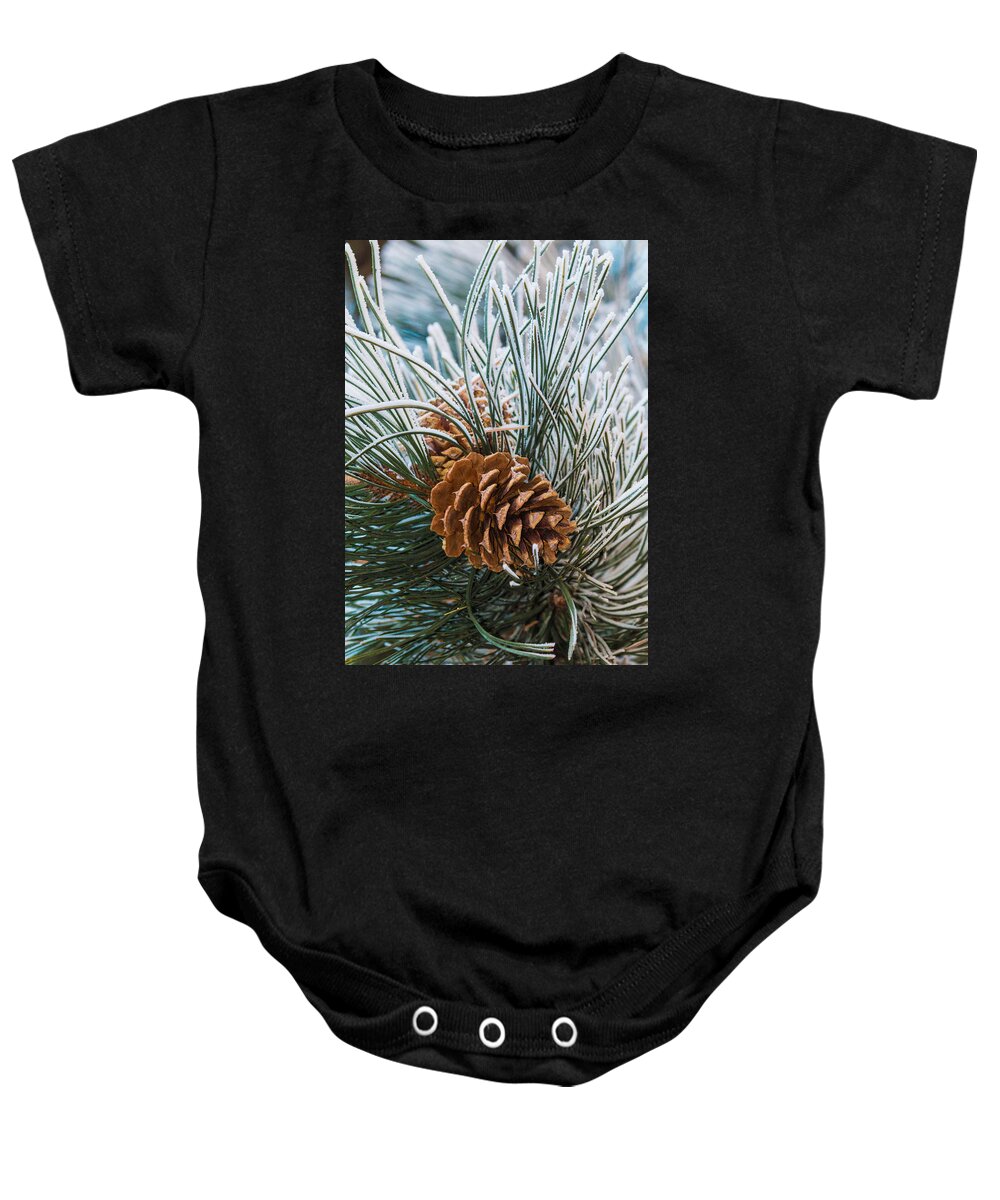 Christmas Baby Onesie featuring the photograph Snowy Pine Cones #1 by Dawn Key