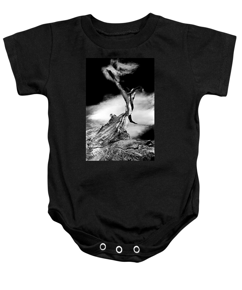 Tree Baby Onesie featuring the photograph 1000 Years To Create by Paul W Faust - Impressions of Light