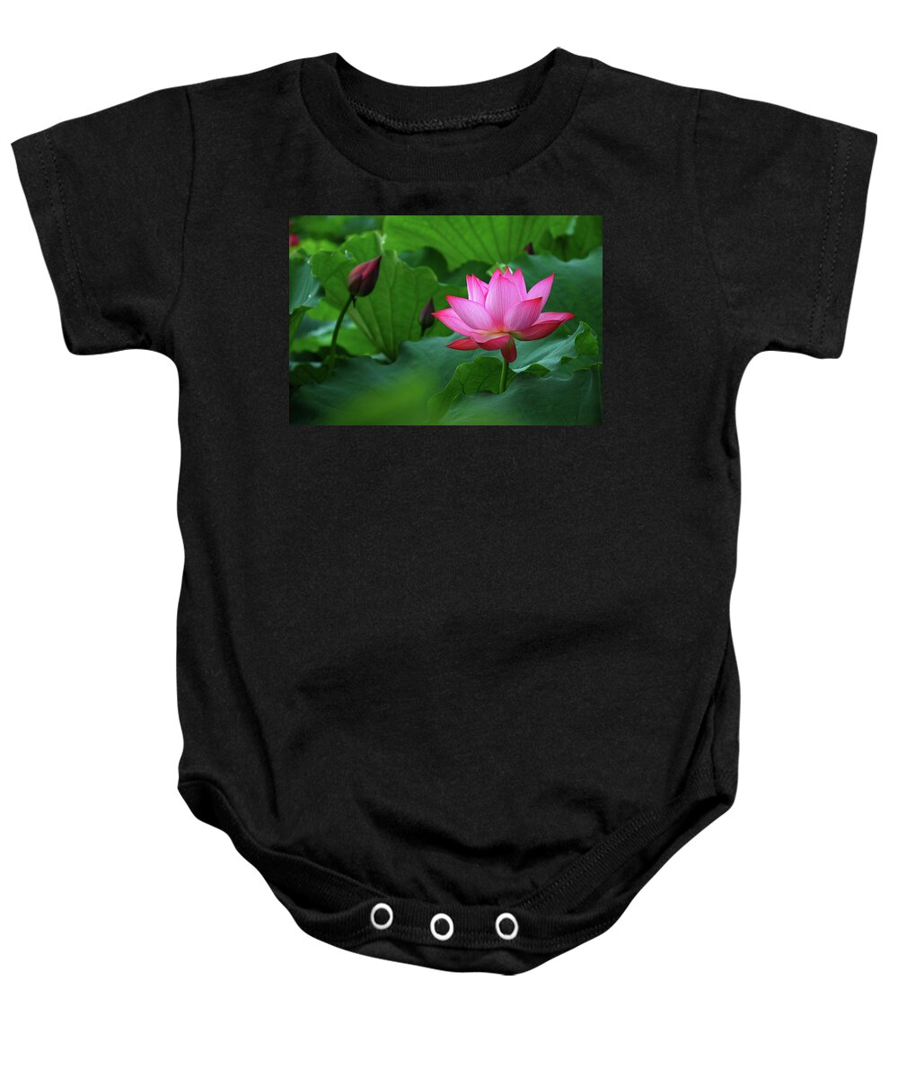 Lotus Baby Onesie featuring the photograph Blossoming lotus flower closeup #18 by Carl Ning