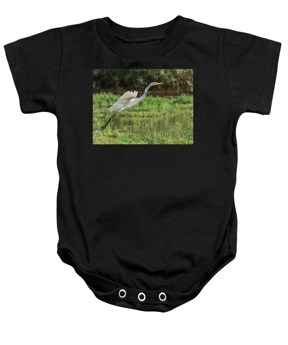 Great Baby Onesie featuring the photograph Great Egret #21 by Tam Ryan