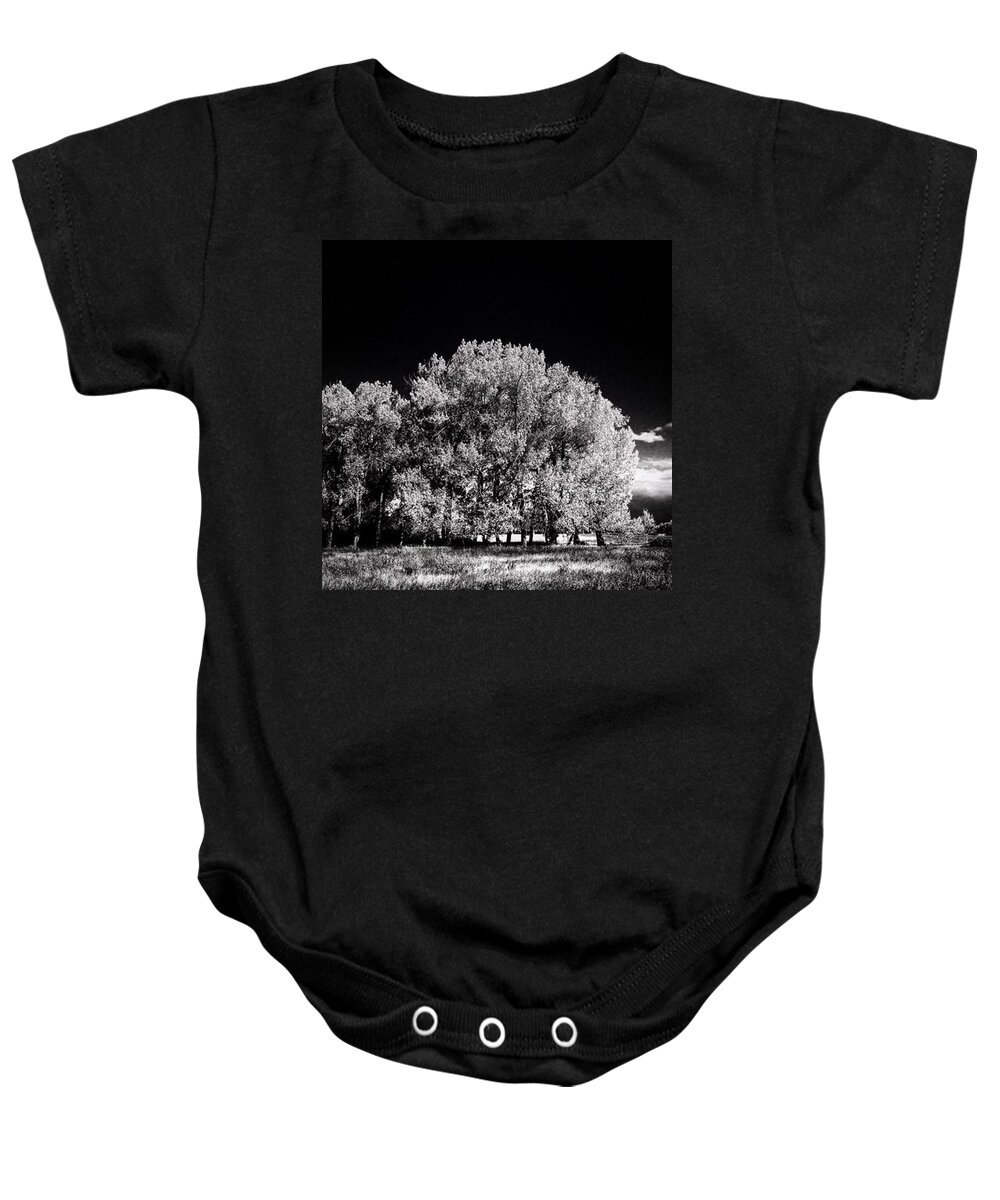 Beautiful Baby Onesie featuring the photograph Black And White Summer by Shawn Gordon
