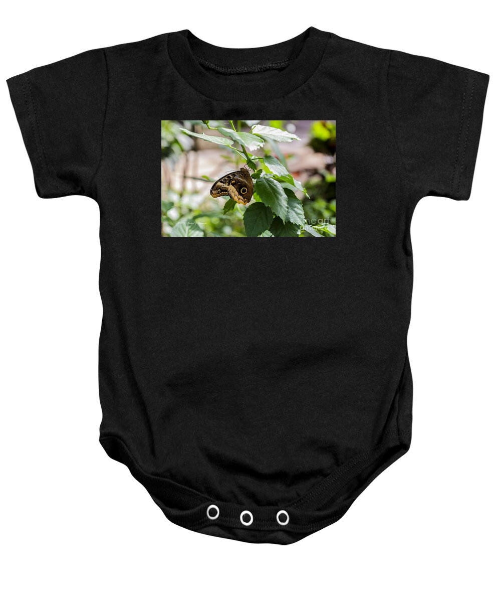 Owl Butterfly Wonderland Baby Onesie featuring the photograph Owl Butterfly by Richard J Thompson