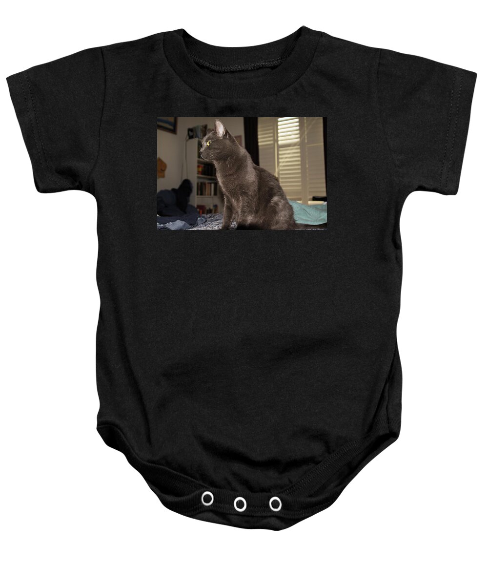 Cats Baby Onesie featuring the photograph Cat #6 by Karl Rose