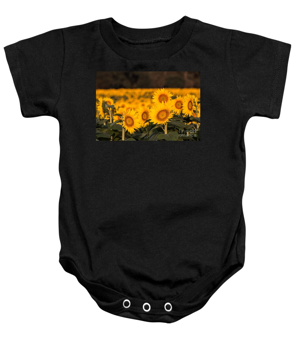Field Baby Onesie featuring the photograph A Kansas Field by Lynn Sprowl