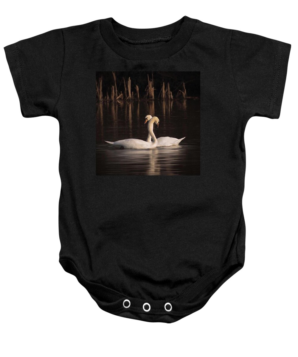 Nuts_about_birds Baby Onesie featuring the photograph A Painting Of A Pair Of Mute Swans by John Edwards