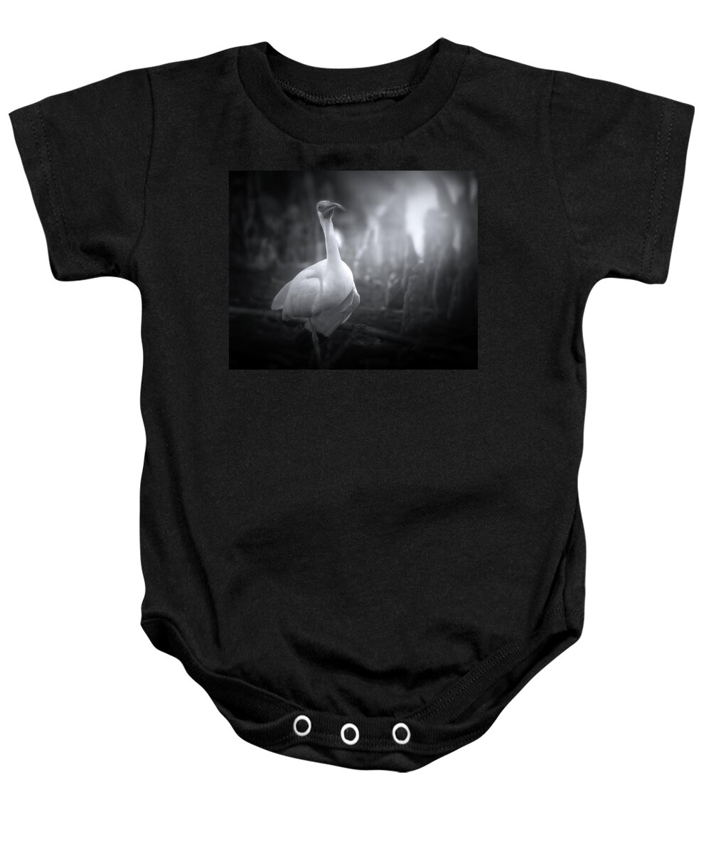 Ibis Baby Onesie featuring the photograph A Stroll Through The Forest by Mark Andrew Thomas