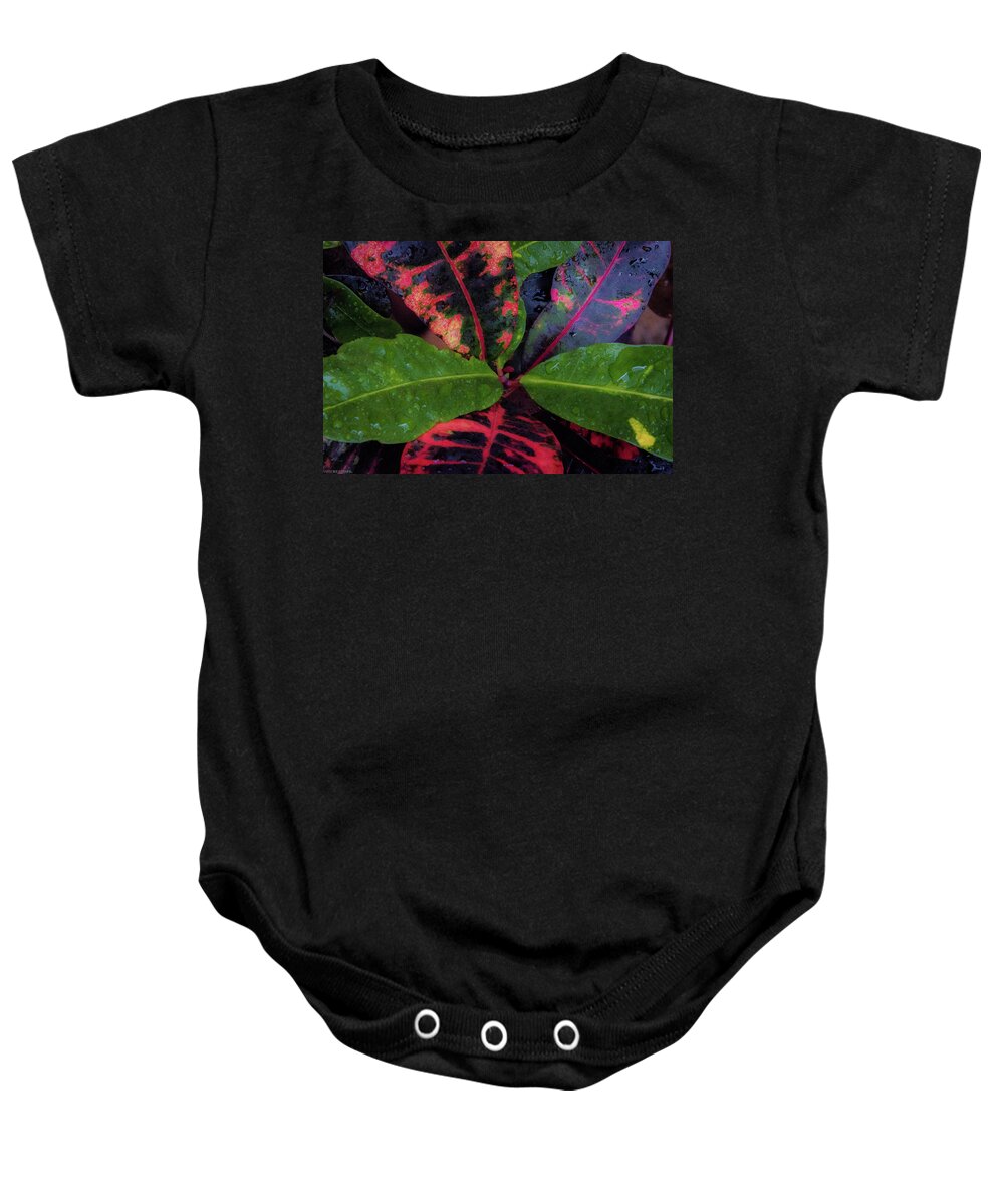 Plant Baby Onesie featuring the photograph After The Rain Has Fallen by G Lamar Yancy