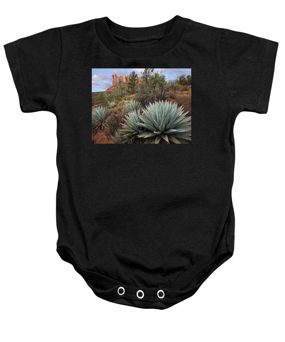 00438930 Baby Onesie featuring the photograph Agave And Coffee Pot Rock Near Sedona by Tim Fitzharris