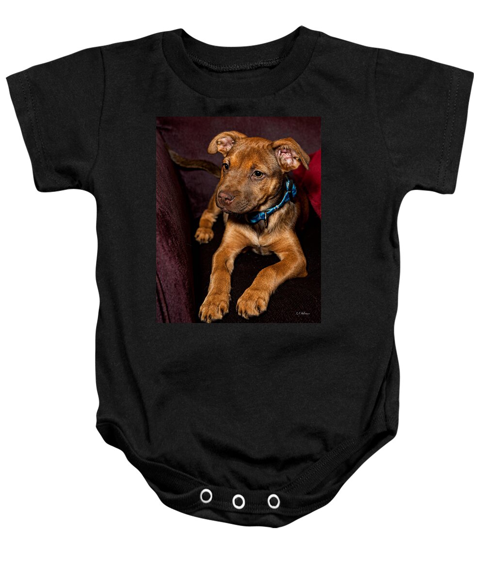 Puppy Baby Onesie featuring the photograph Alex by Christopher Holmes