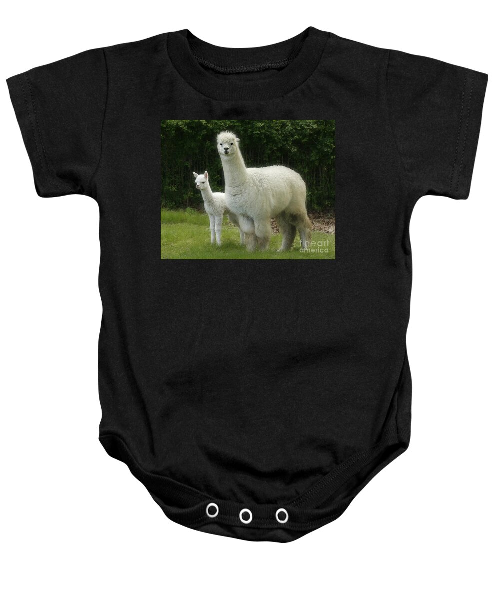 Alpaca Baby Onesie featuring the photograph Alpaca and foal by Garry McMichael