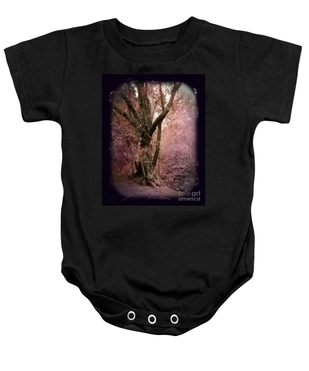 Windy Hill Baby Onesie featuring the photograph Ancient Tree by a Stream by Laura Iverson