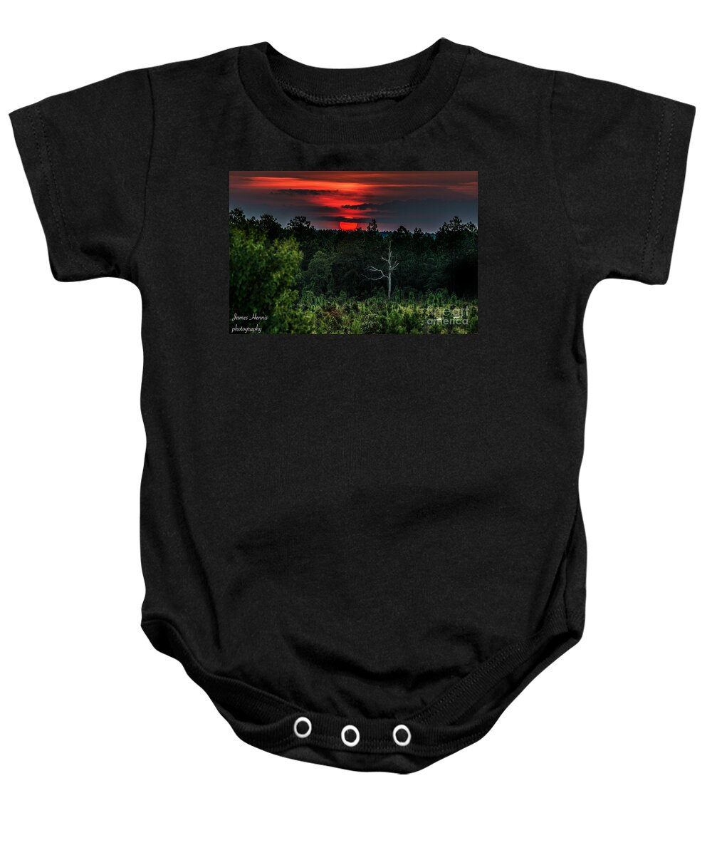 Animal Baby Onesie featuring the photograph Animal Sunset by Metaphor Photo