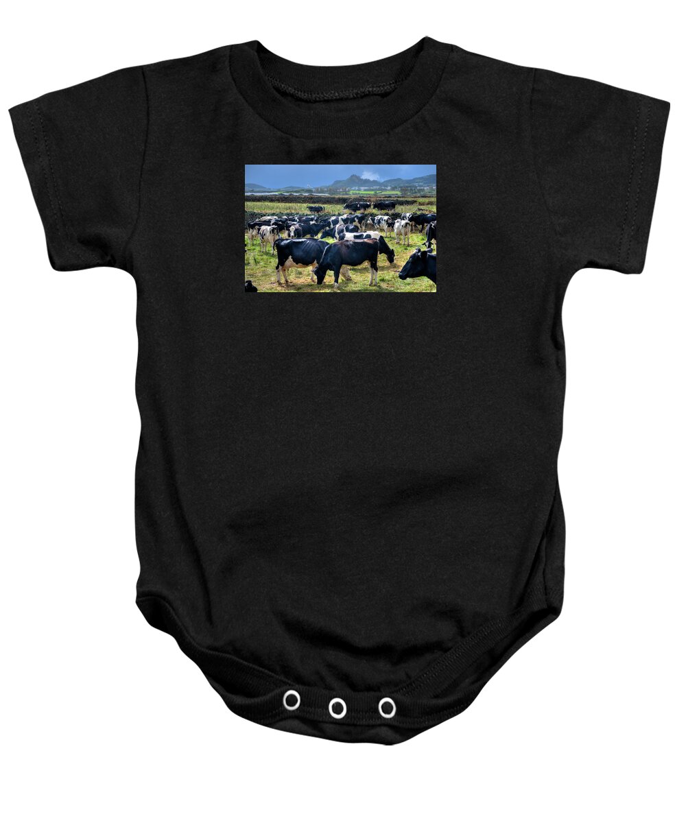 Agriculture Baby Onesie featuring the photograph Animals Livestock-02 by Joseph Amaral