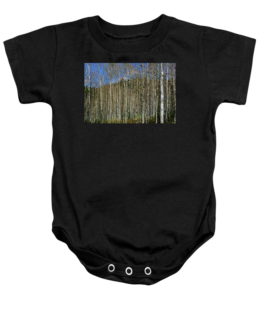 Trees Baby Onesie featuring the photograph Aspen Forest by Tikvah's Hope