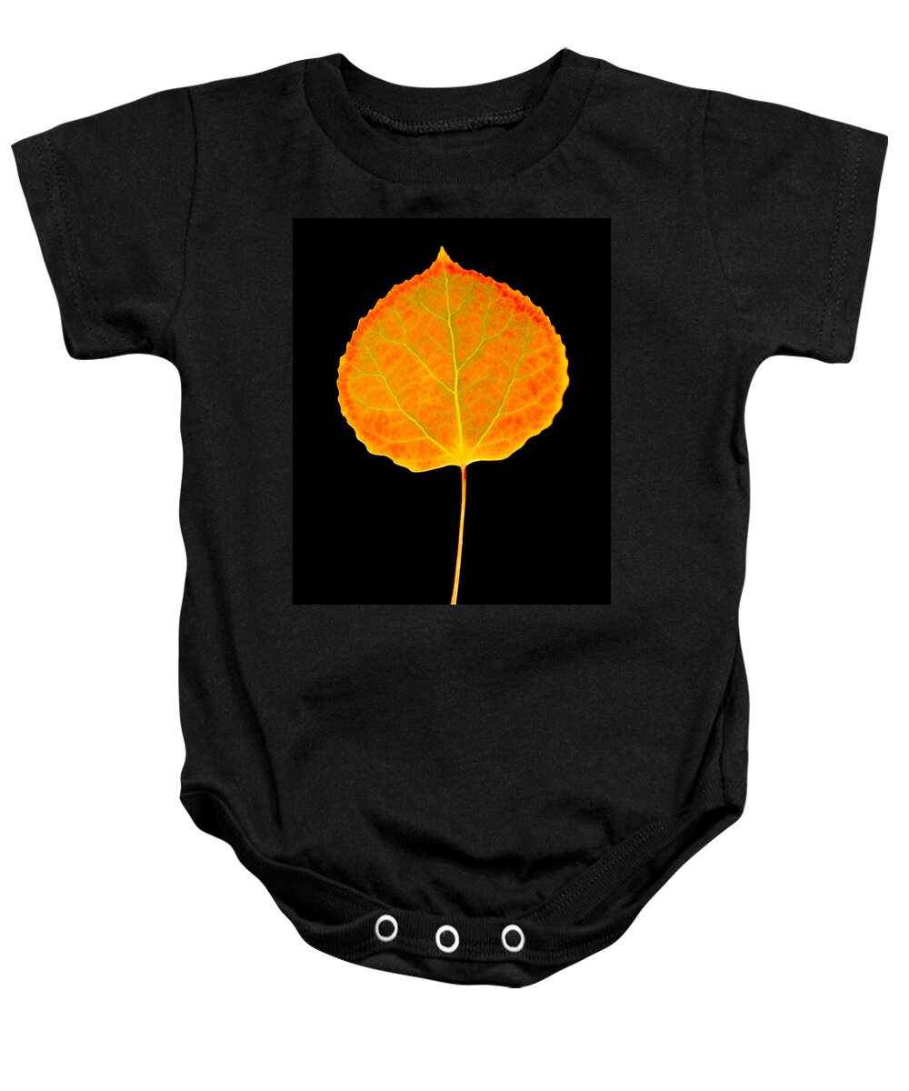 Leaf Baby Onesie featuring the photograph Aspen Leaf Glory by Marilyn Hunt