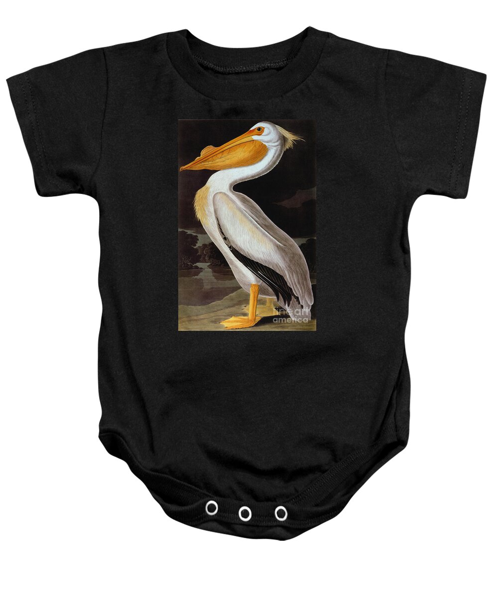 19th Century Baby Onesie featuring the photograph Audubon: Pelican by Granger