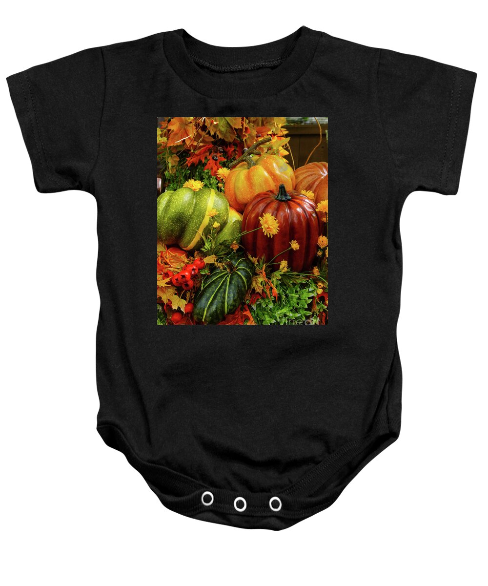 Autumn Baby Onesie featuring the photograph Autumn Grouping by Jennifer White