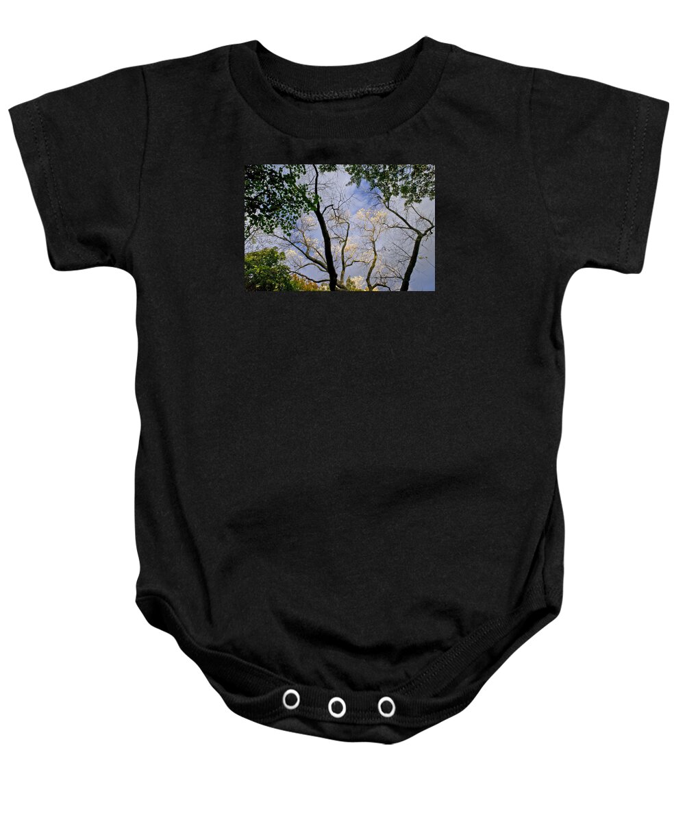 Autumn Baby Onesie featuring the photograph Autumn in the tree branches. by Elena Perelman