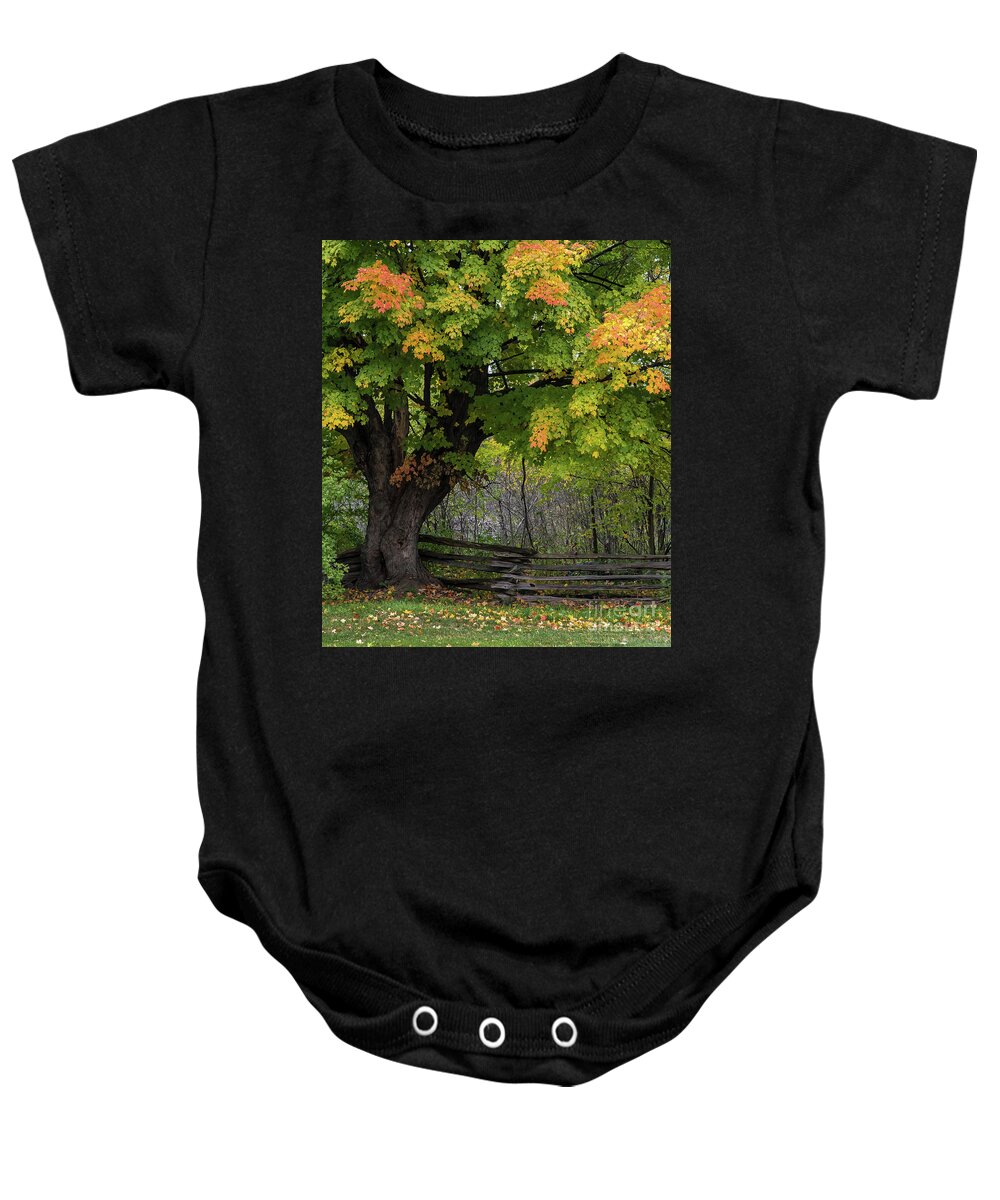Maple Baby Onesie featuring the photograph Autumn Maple Tree by Bianca Nadeau