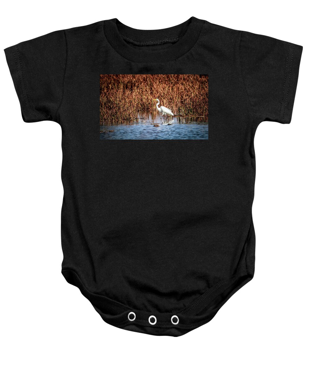 Autumn Baby Onesie featuring the photograph Autumn's Shore by Ray Congrove