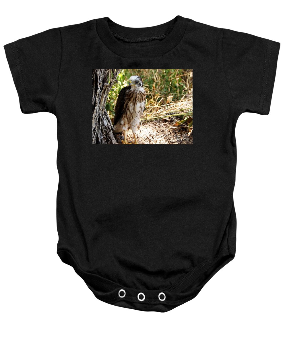 Hawk Baby Onesie featuring the painting Baby Hawk Fell out of Nest by Jayne Kerr