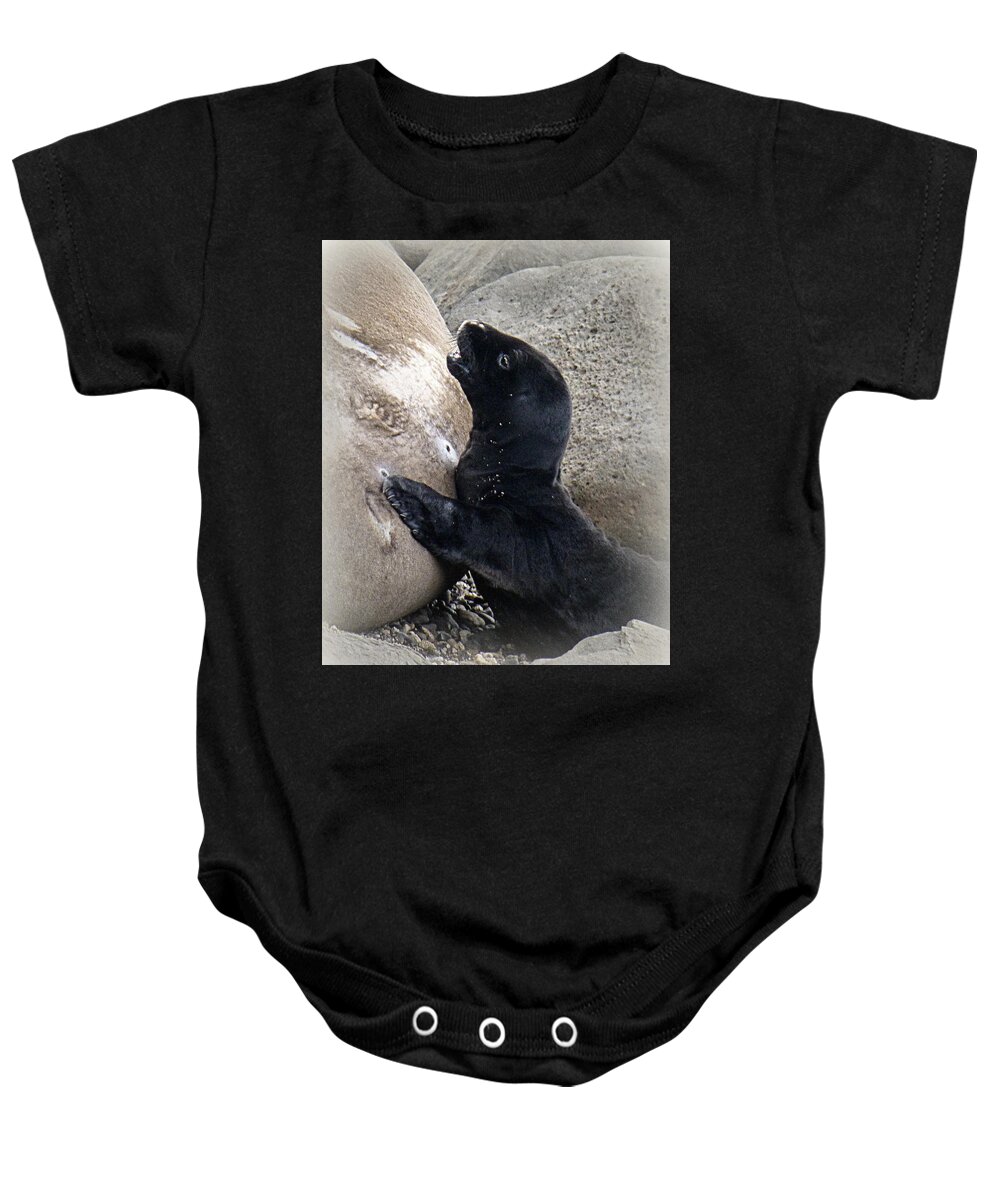 Seal Baby Onesie featuring the photograph Baby Monk Seal by Lori Seaman