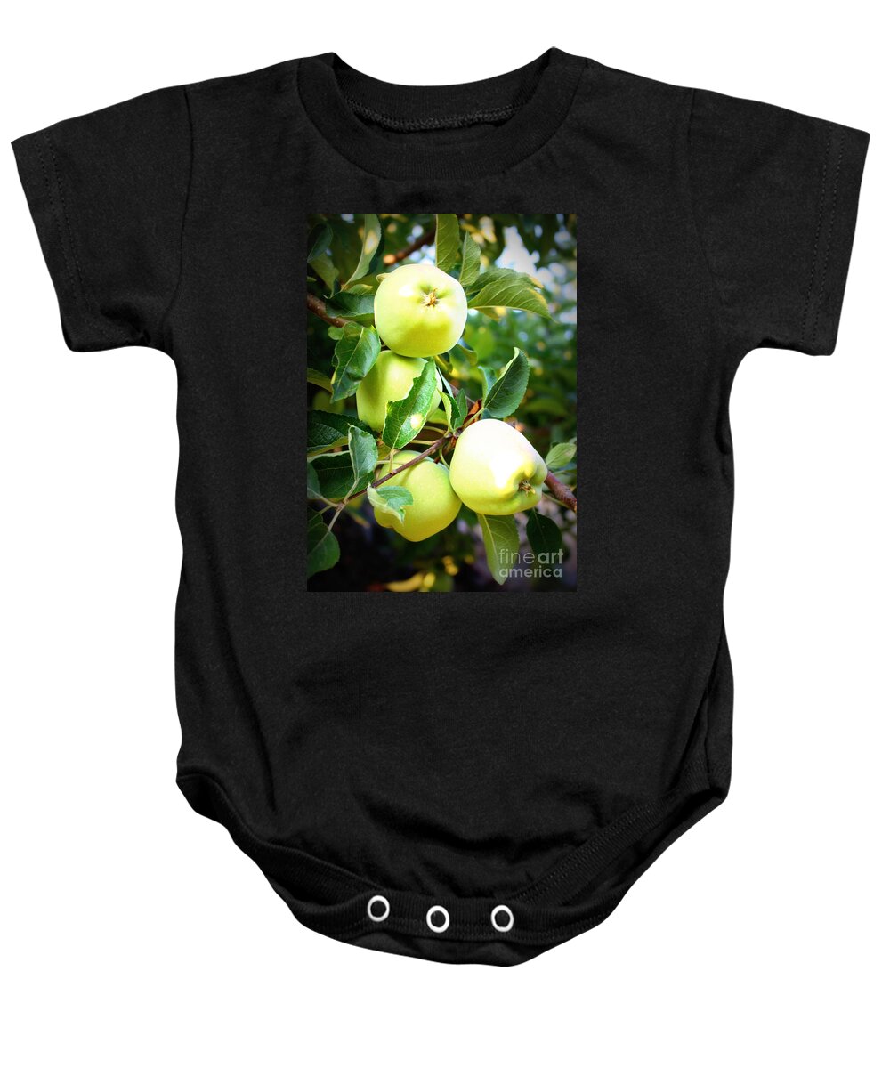 Food Baby Onesie featuring the photograph Backyard Garden Series- Golden Delicious Apples by Carol Groenen