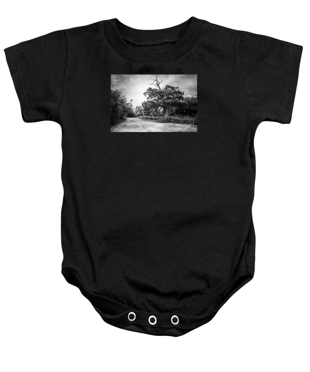 Bald Cypress Tree Baby Onesie featuring the photograph Bald Cypress Tree by Imagery by Charly