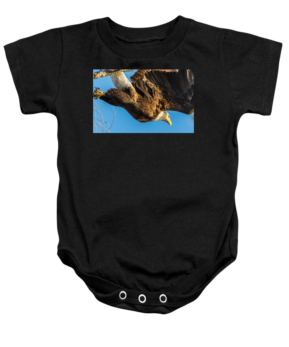 California Baby Onesie featuring the photograph Bald Eagle Against Blue Sky by Marc Crumpler