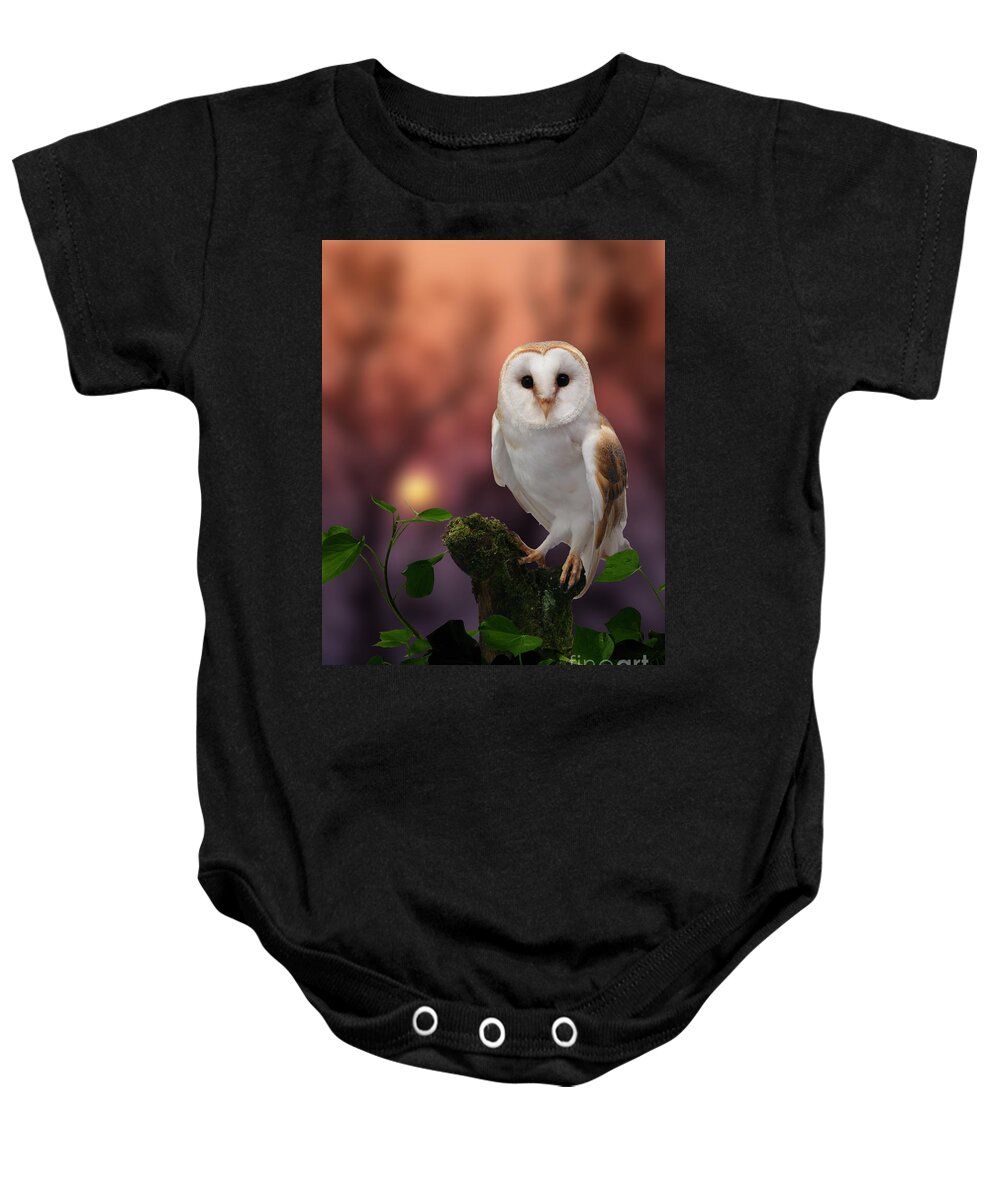 Barn Owl Baby Onesie featuring the photograph Barn Owl at sunset by Warren Photographic