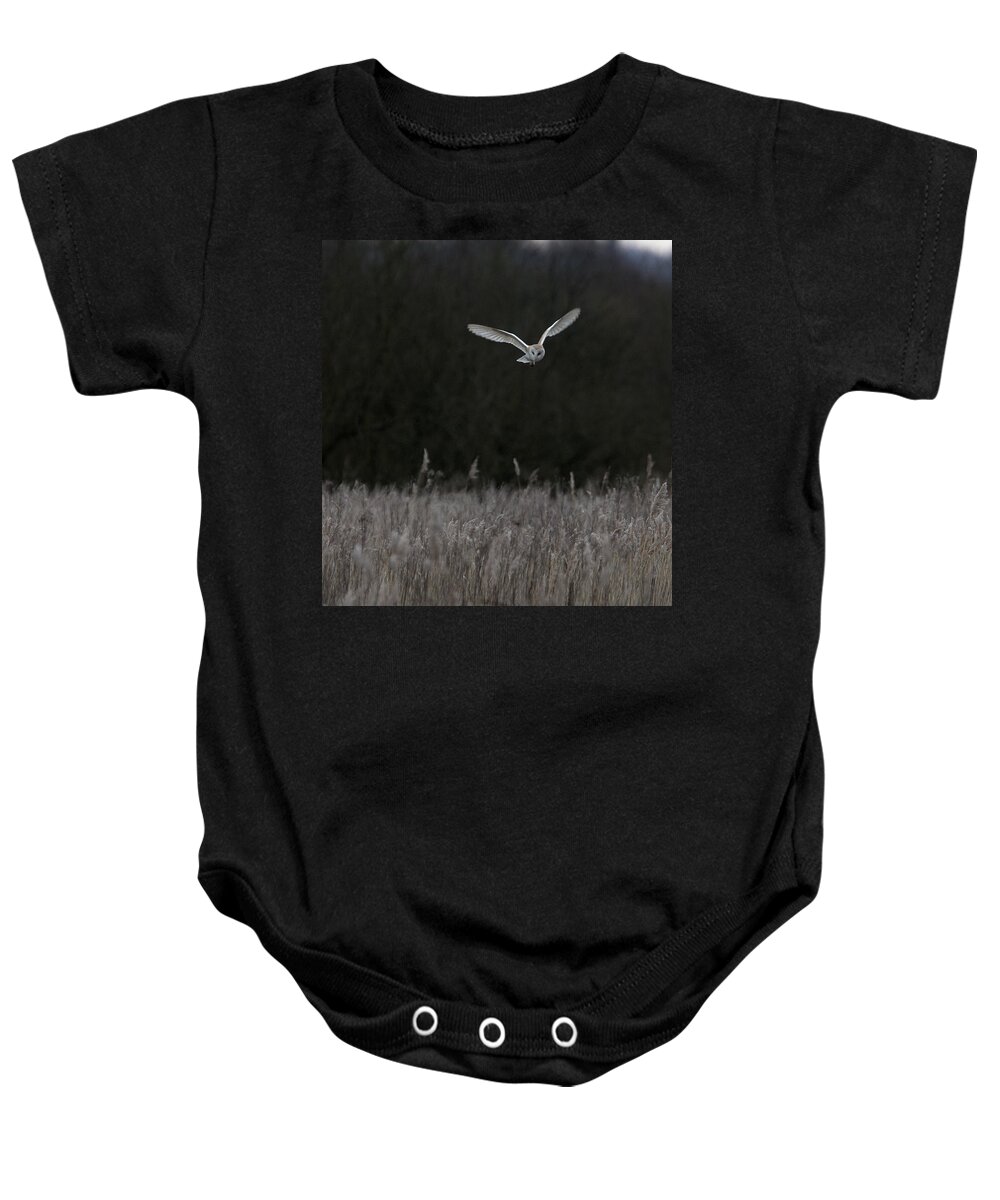 Barn Baby Onesie featuring the photograph Barn Owl hunting at dusk by Tony Mills