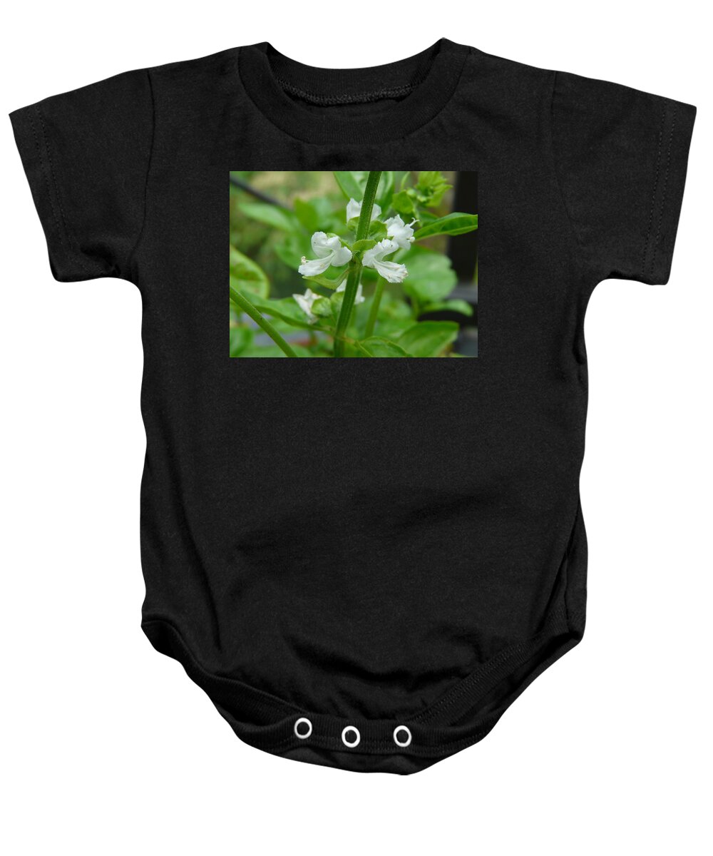 Plant Baby Onesie featuring the photograph Basil Blossom by Valerie Ornstein