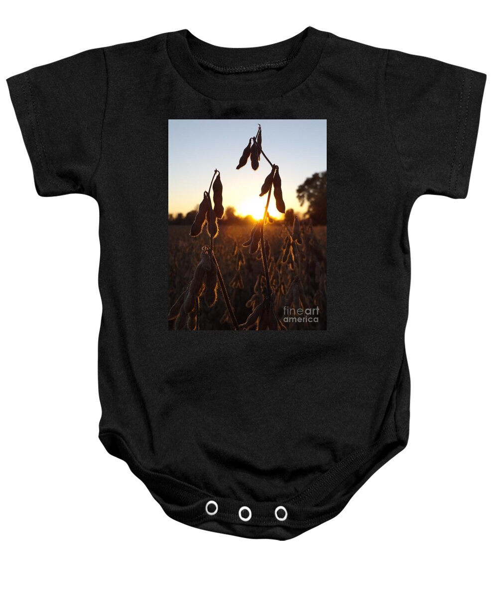 Beans Baby Onesie featuring the photograph Beans at Sunset by Erick Schmidt