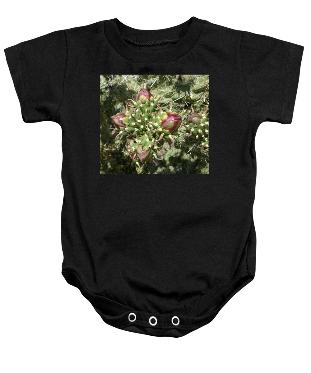Cactus Baby Onesie featuring the photograph Beginnings by Claudia Goodell