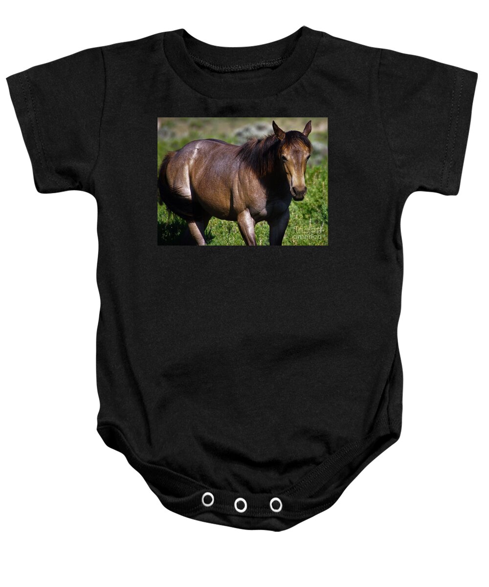 Horse Baby Onesie featuring the photograph Being Free by Merle Grenz