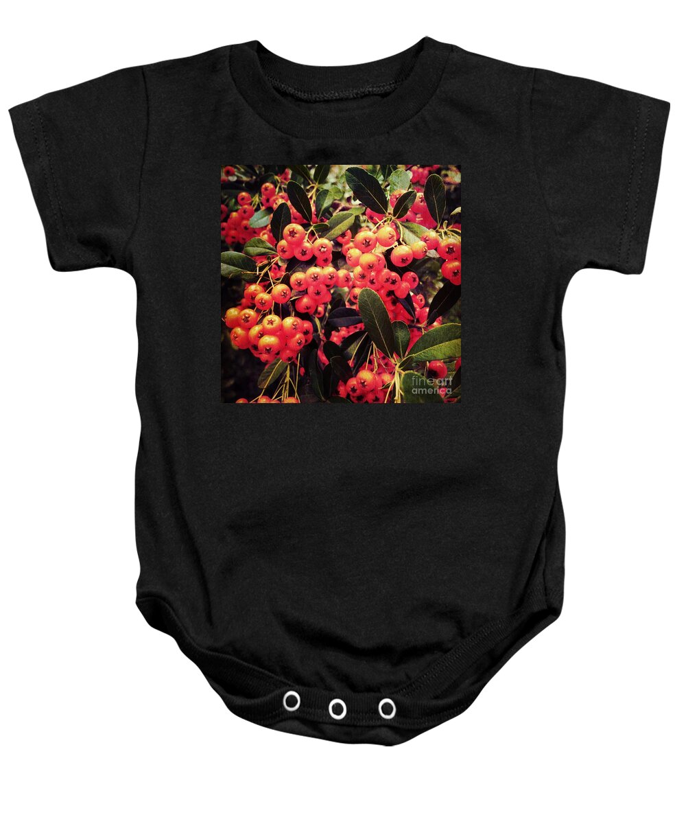 Berries Baby Onesie featuring the photograph Berry Fall by Onedayoneimage Photography