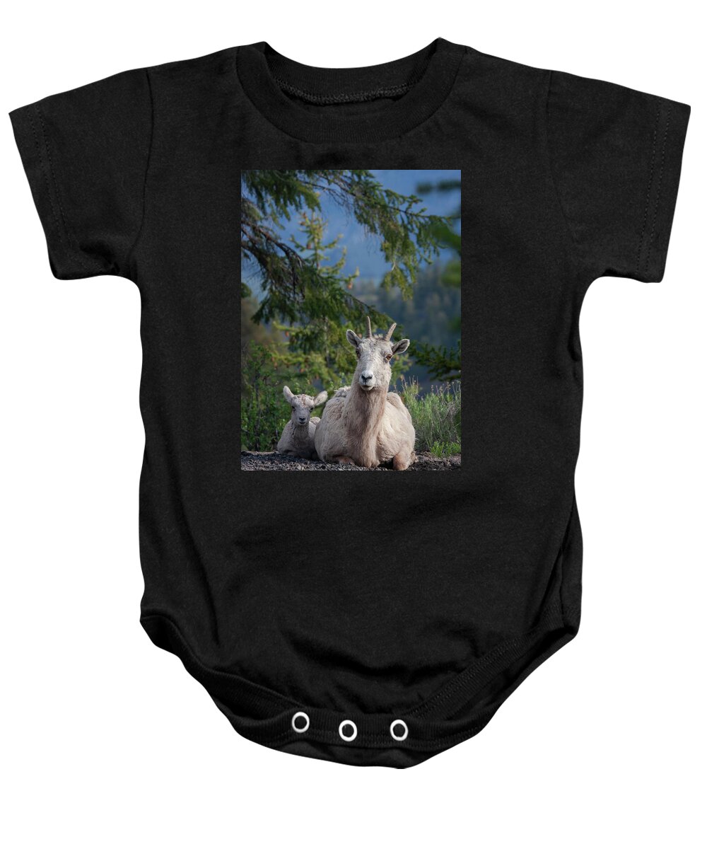 Mark Miller Photos Baby Onesie featuring the photograph Bighorn Sheep Family by Mark Miller